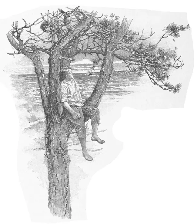 הלילה הראשון על האי: רובינזון ישן על עץ
